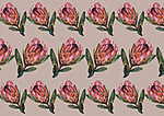 21027a 150x106 - Motif de fleurs roses - tegory