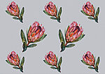 21030a 150x106 - Motif de fleurs roses - tegory