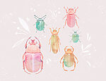 21248a 150x115 - Groupe d'insectes colorés - tegory