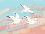 21264a 150x115 - Groupe d'oiseaux blancs volant dans le ciel - tegory