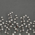 Papier peint Groupe de fleurs de coton