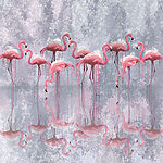 Papier peint Groupe de flamants roses