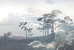 21404a 150x102 - Paysage avec arbres et nuages - tegory