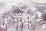 21405a 150x102 - Groupe d'arbres avec neige et nuages - tegory