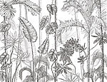 21588a 150x115 - Papier peint noir et blanc avec plantes - tegory