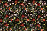 21613a 150x100 - Motif floral sur fond noir - tegory