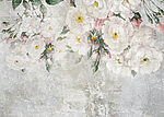 21631a 150x107 - Fleurs blanches sur fond gris - tegory