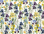 21652a 150x115 - Motif de fleurs sur fond blanc - tegory