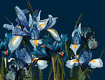 21679a 150x115 - Groupe de fleurs bleues et blanches - tegory