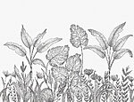 21754a 150x115 - Ligne de plantes et de fleurs - tegory