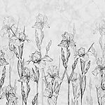 Papier peint Dessin de fleurs sur fond blanc