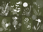 21822a 150x113 - Collage de fleurs et de feuilles - tegory