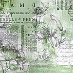 Papier peint Motif floral vert et blanc