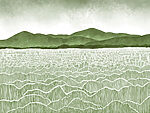 21826a 150x113 - Paysage vert et blanc - tegory