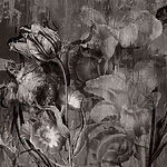 Papier peint Image de fleurs en noir et blanc