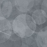 Papier peint Fond gris avec cercles et feuilles