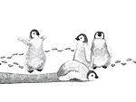 21894a 150x113 - Groupe de pingouins sur fond blanc - tegory