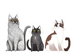 21898a 150x113 - Groupe de chats assis ensemble - tegory