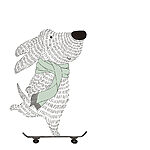 Papier peint Chien sur un skateboard