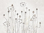 21911a 150x113 - Dessin de fleurs et de plantes - tegory