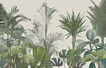 21917a 150x96 - Groupe de plantes avec feuilles - tegory