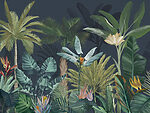 21967a 150x113 - Groupe de plantes tropicales - tegory