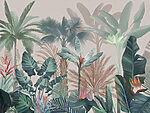 21972a 150x113 - Groupe de plantes tropicales - tegory