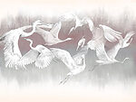 21980a 150x113 - Groupe d'oiseaux blancs en vol - tegory