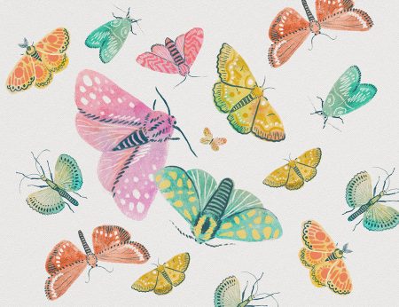 Papier peint papillons roses et turquoises