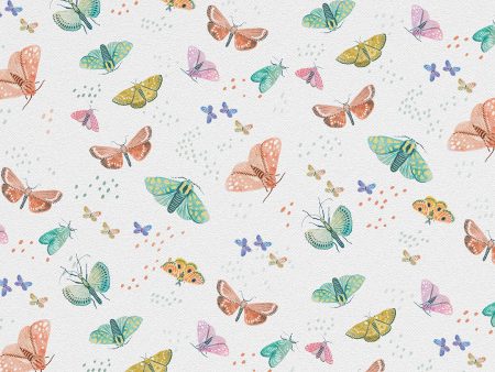 Papier peint papillons multicolores
