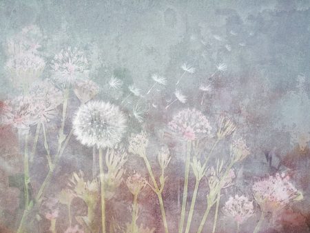 Papier peint délicat de fleurs de pissenlit