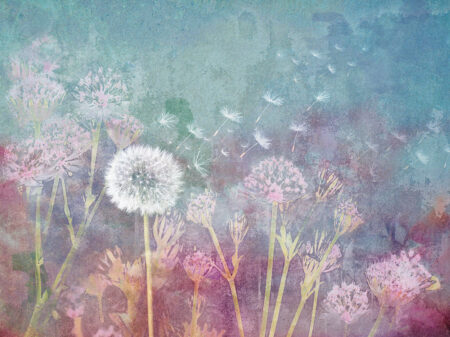 Papier peint délicat de fleurs de pissenlit