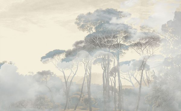 Papier peint forêt dans le brouillard du matin