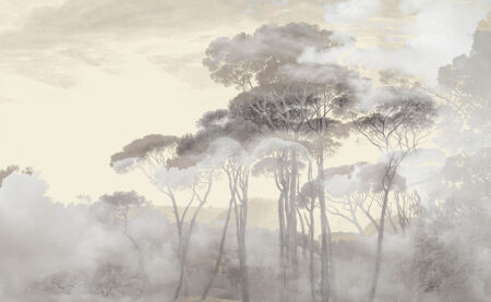 Papier peint forêt dans le brouillard du matin