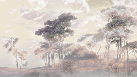 Papier peint forêt avec nuages au coucher du soleil