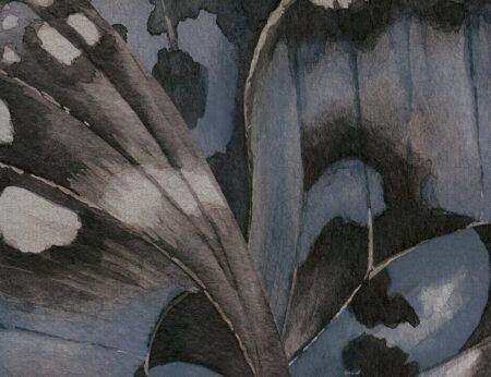 Papier peint ailes de papillons