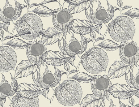 Papier peint motif de fleurs de physalis