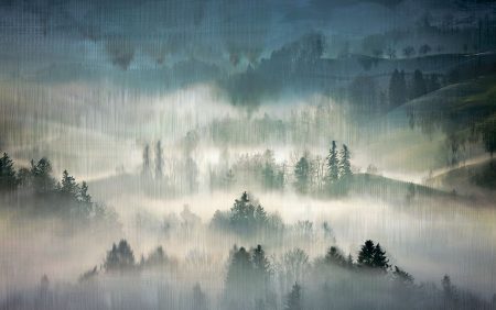 Papier peint forêt dans le brouillard