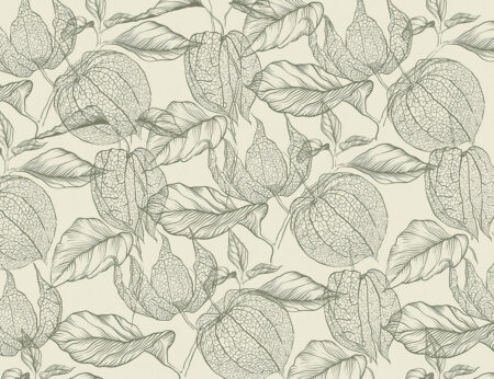 Papier peint graphique délicat physalis