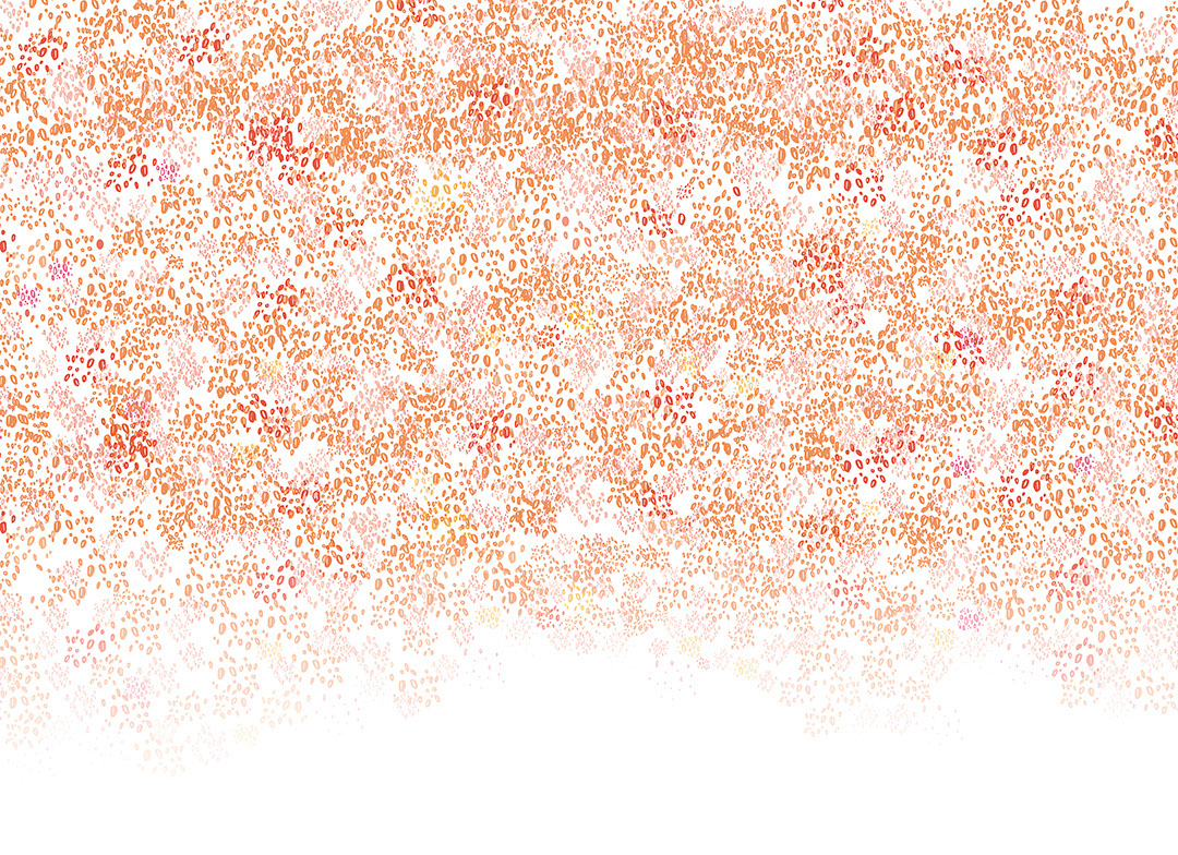 Swatch image
