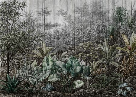 Papier peint gravure avec l’image d’arbres et de feuilles tropicales