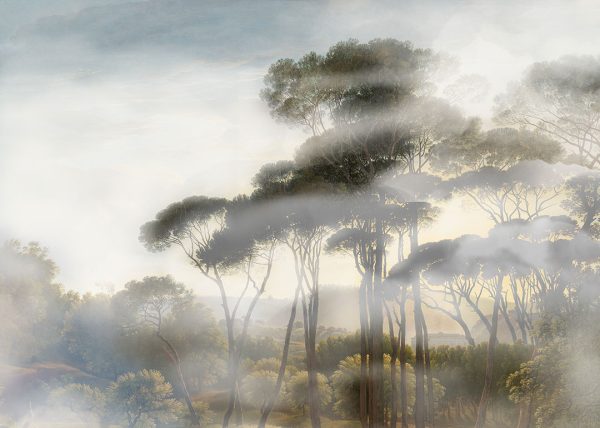 Papier peint forêt dans le brouillard aux couleurs riches
