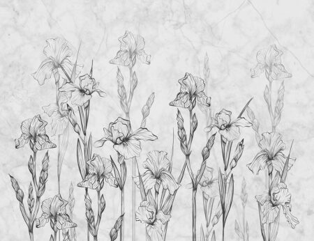 Papier peint fleurs linéaires iris avec marbre
