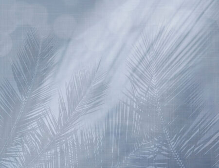 Papier peint ombres de feuilles tropicales