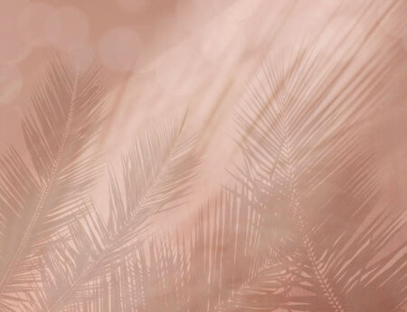 Papier peint ombres de feuilles tropicales