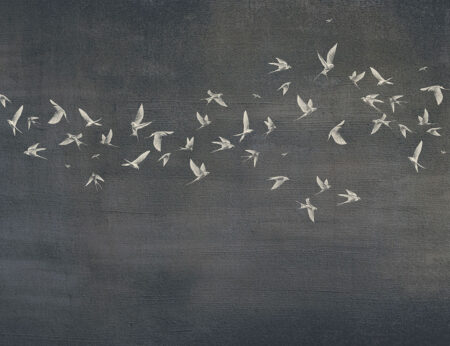 Papier peint oiseaux doux sur un fond texturé sombre