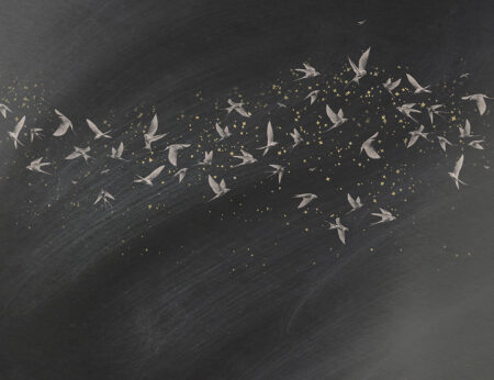 Papier peint oiseaux doux sur un fond texturé sombre