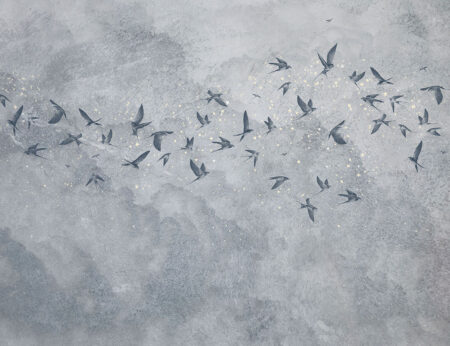 Papier peint oiseaux délicats sur un fond texturé gris