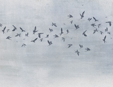 Papier peint oiseaux délicats sur un fond texturé gris