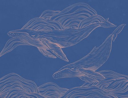 Papier peint baleines délicates linéaires sur fond sombre